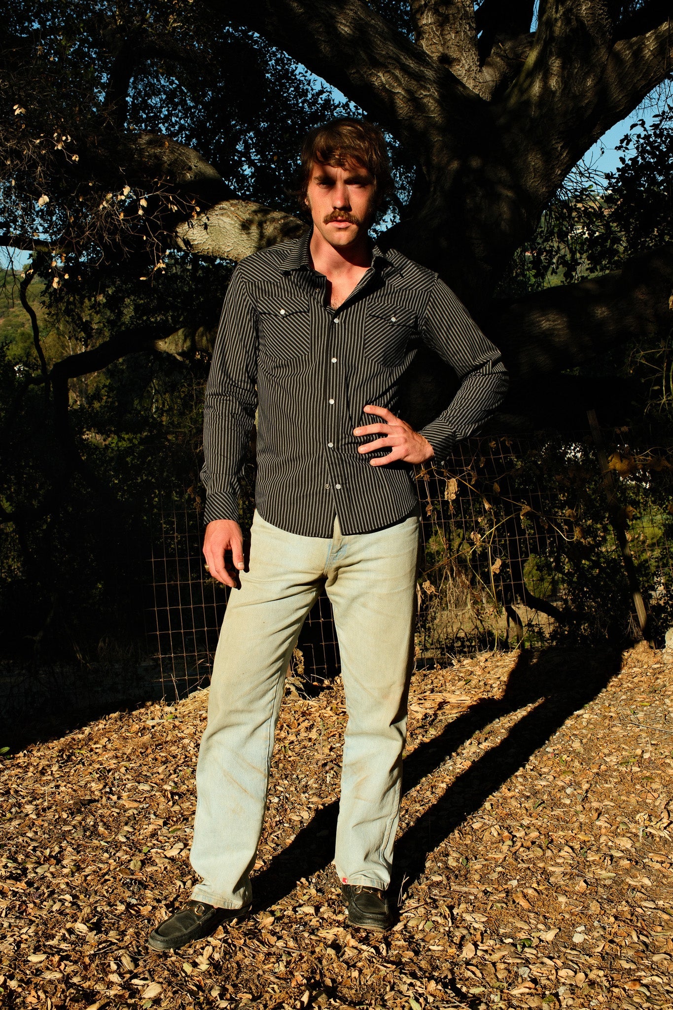 Brazos Fine Shirts - Ejecutivo