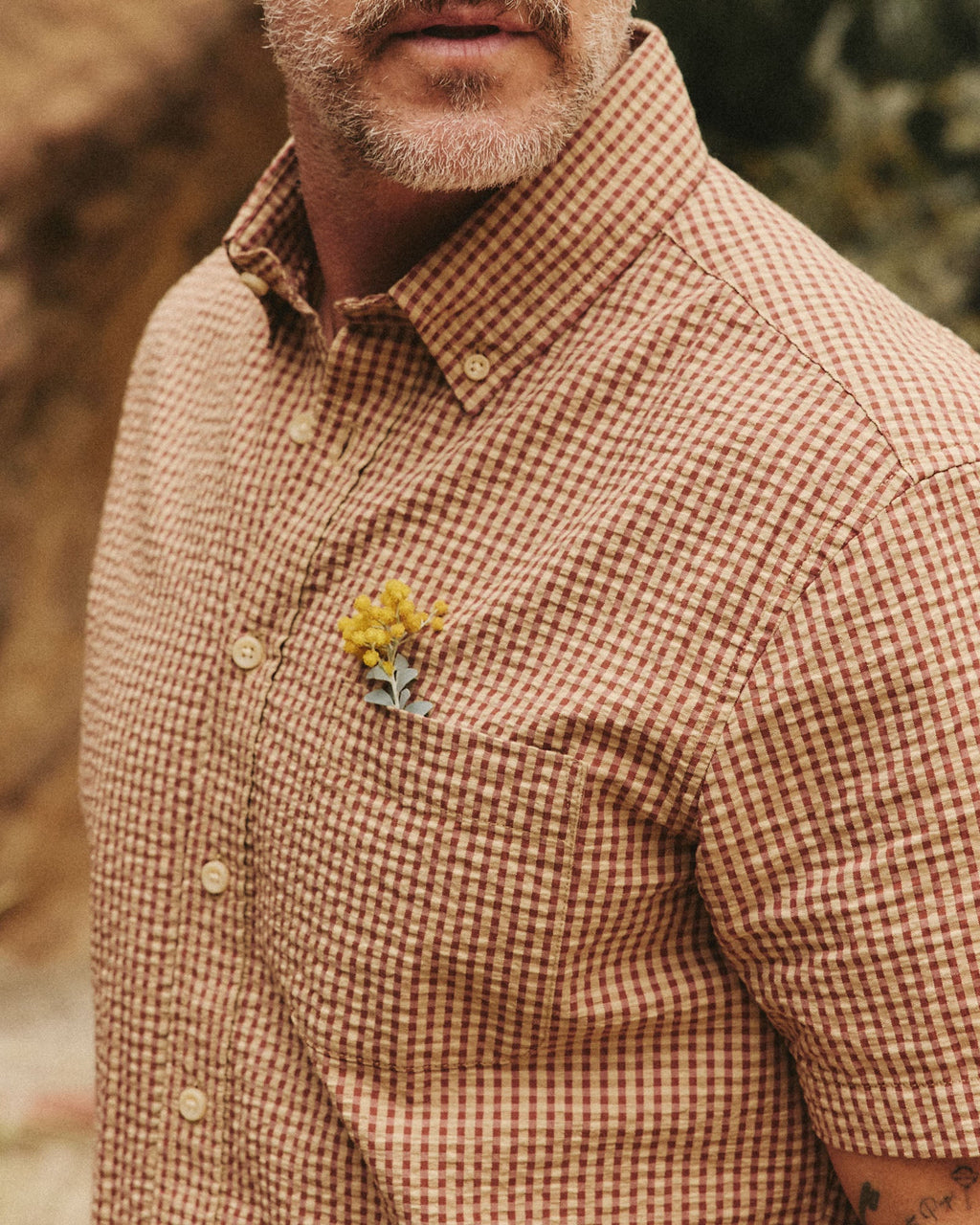 Taylor Stitch - Short Sleeve Jack in Brick Check Seersucker